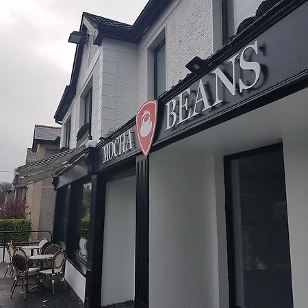 Mocha Newcastle Bed & Breakfast Голуей Екстериор снимка
