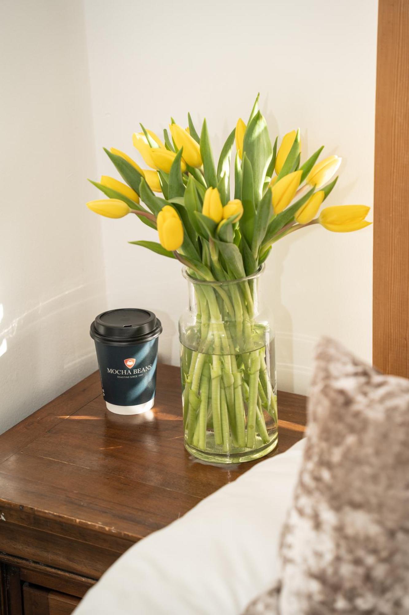Mocha Newcastle Bed & Breakfast Голуей Екстериор снимка